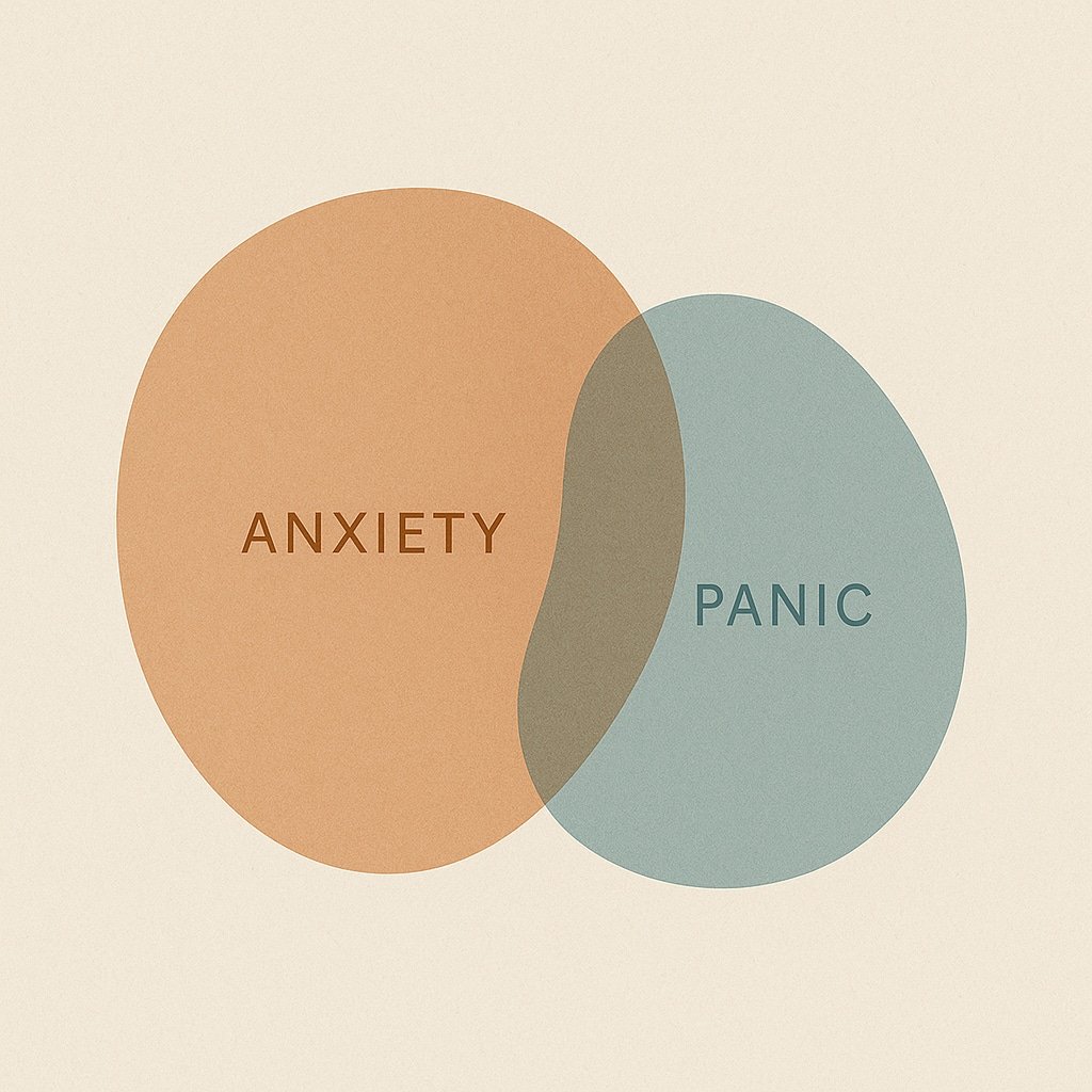Visual showing the connection between anxiety and panic<br />
