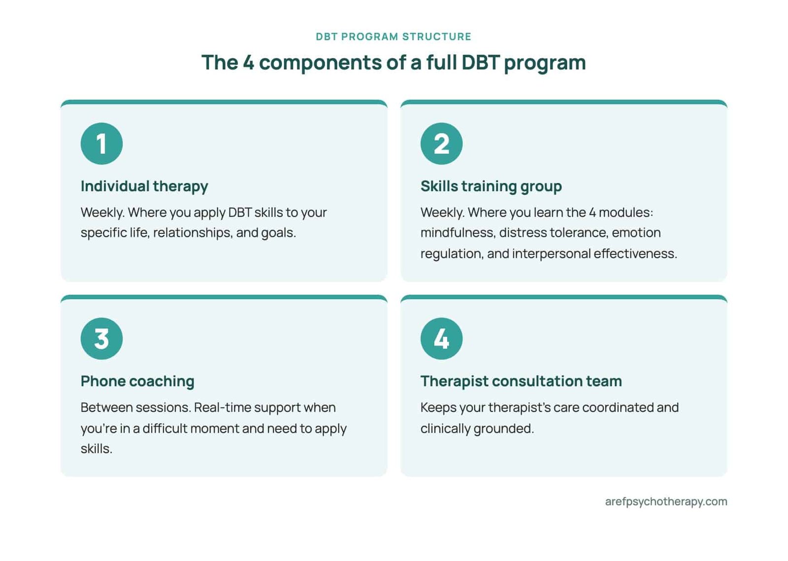 Four components of full DBT program — individual therapy, skills training group, phone coaching, therapist consultation team